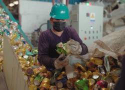 Trabajadores clasifican las latas que llegan hasta Recynter.