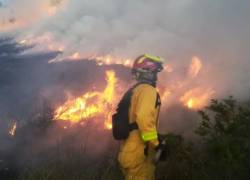 El alcalde de Quito, Pabel Muñoz, hizo un llamado para dejar de lado costumbres que generan grandes incendios, como quemar basura. ​​​​​Foto: API