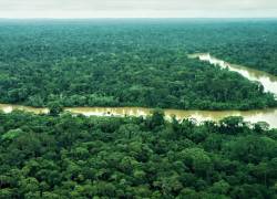 Fotografía del Río Curaray, ubicado en el oriente de Ecuador y Perú.