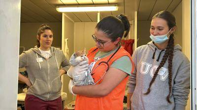 Grupo de voluntarios en Valencia, España atendiendo a un gato rescatado.