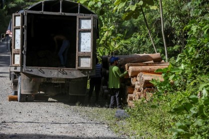 La energía eólica impulsa el mercado negro de la balsa en Ecuador