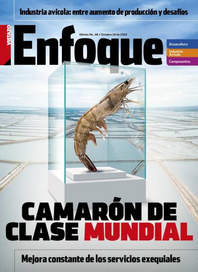 Portada de Revista Enfoque