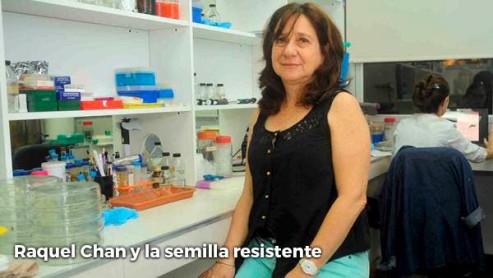 10 mujeres que lideran la ciencia en América Latina.