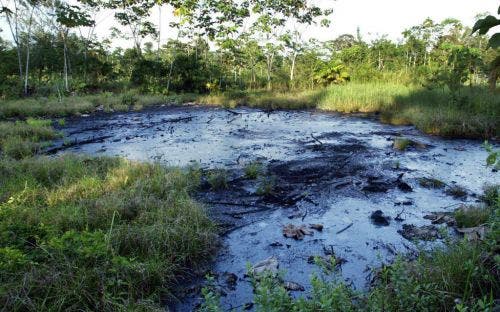 Ecuador apelará decisión La Haya en caso Chevron