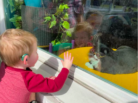 Truffles: la gata que ayuda a los niños a relajarse mientras se prueban anteojos