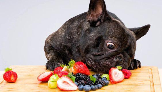 Estas son las mejores frutas y verduras para tu perro