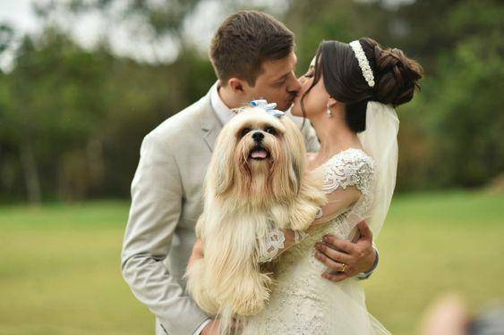 Las mascotas pueden ser testigos en bodas de Estados Unidos