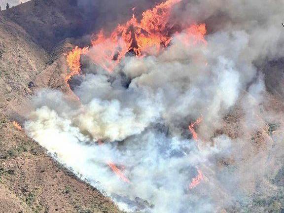 Incendio forestal en la provincia de Loja agrupa el trabajo de bomberos, miembros de las Fuerzas Armadas y comuneros