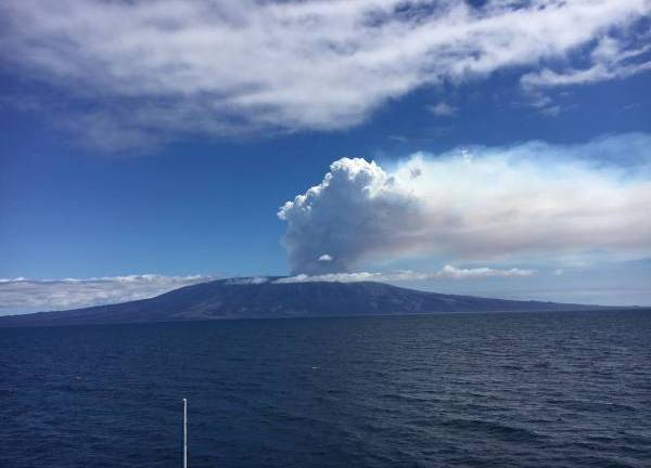 Volcán de Isla Fernandina se reactiva luego de casi 10 años