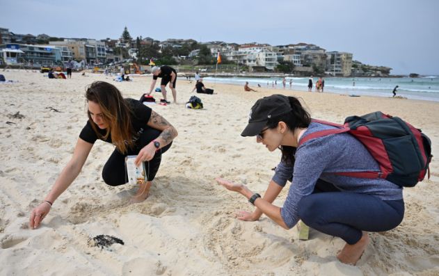 Miles de personas limpian playa por el Día Mundial de la Limpieza del planeta