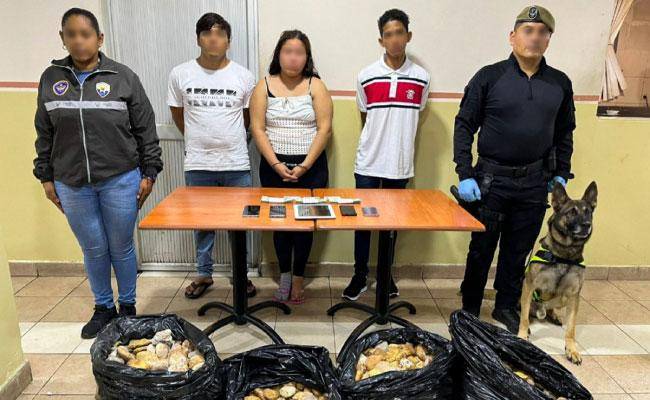 Descubren cargamento de pescado con droga que iba a China, en el Aeropuerto de Guayaquil; hay tres procesados