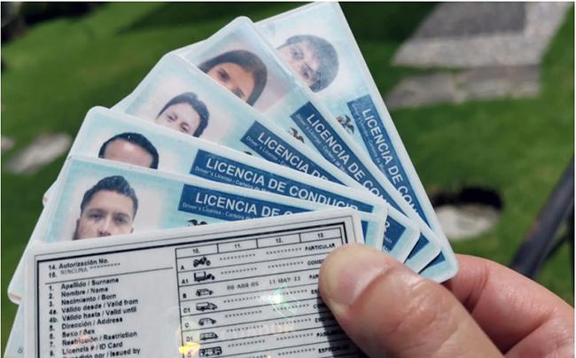 ¿Te robaron la licencia de conducir? Así puedes recuperarla en Ecuador