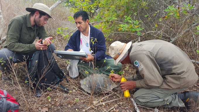 Expedición en Galápagos busca parientes vivos del &#039;solitario&#039; George