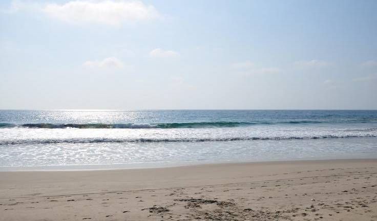 Ocean weekend en Ecuador: evento abierto al público para quienes buscan proteger los oceános