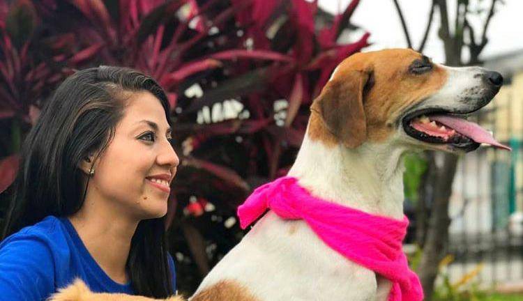 Fundación Refugio Pana, al rescate de perros y gatos que han sufrido maltrato en Guayaquil