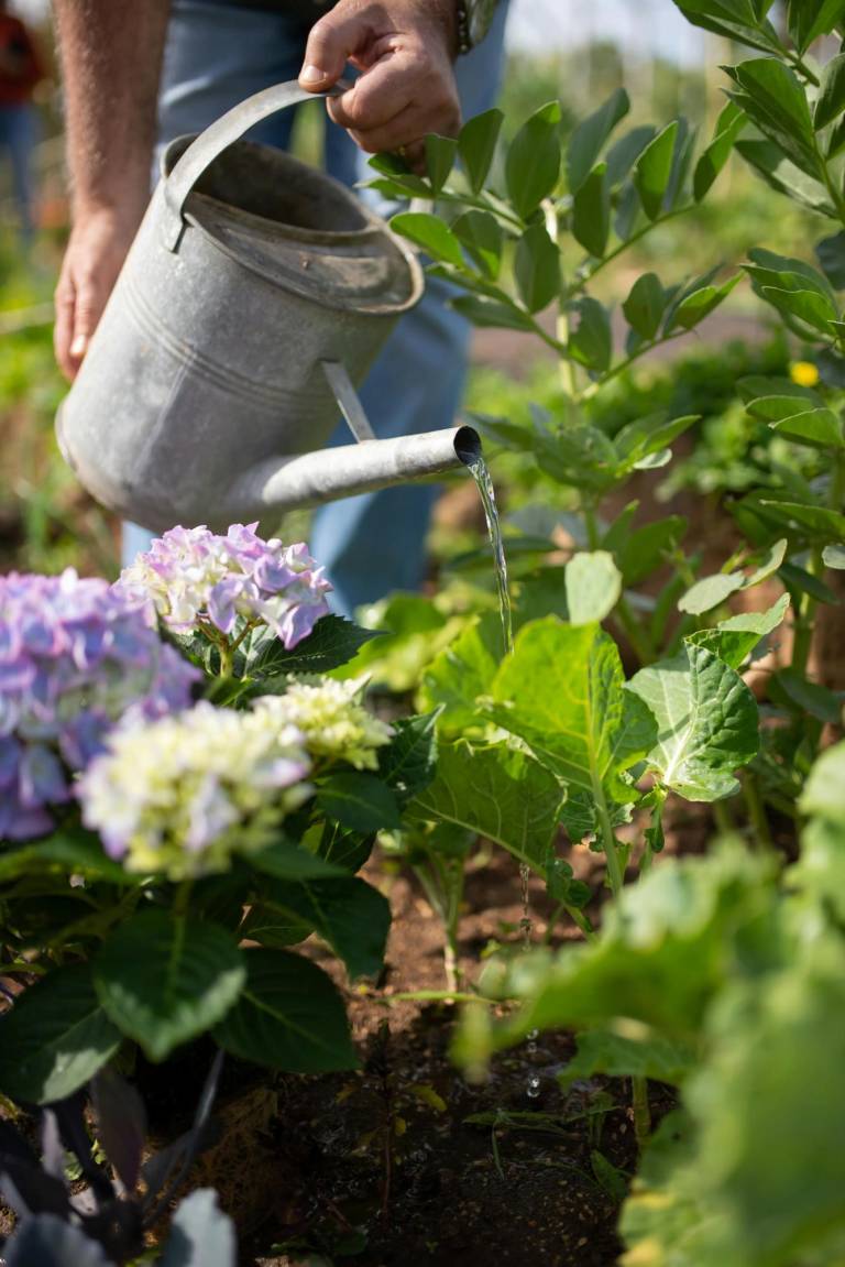 $!Fotografía referencial de una persona trabajando en jardinería.