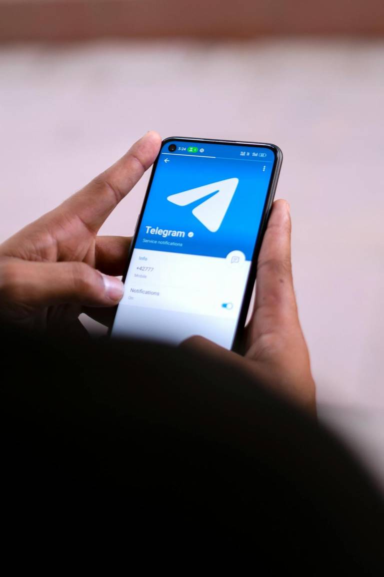 $!La aplicación Telegram, que era usada para distribuir el contenido según la ministra, es una plataforma de mensajería gratuita que garantiza mayor anonimato a sus usuarios.