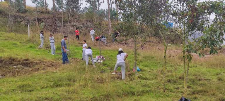 $!La reforestación es una de las estrategias efectivas para reducir el impacto de las sequías y de las inundaciones.