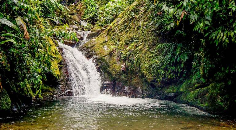 $!Una de las caídas de agua en Mindo.