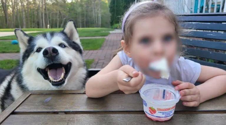 $!Fotografía de Gunnar y Olivia disfrutando una tarde de comer helado.