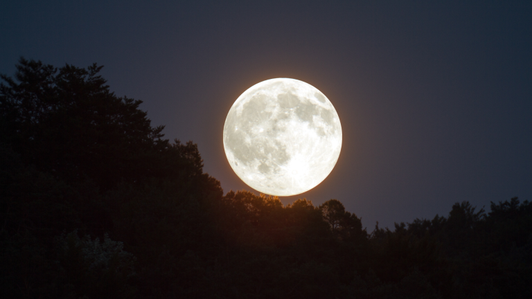 $!Luna llena en medio del bosque.