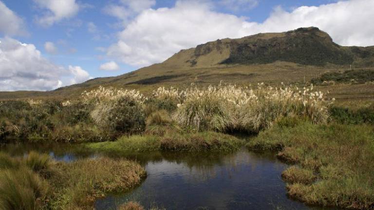 Fotografía del páramo del Parque Nacional Llanganates.