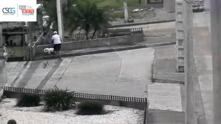 Cámaras captan una brutal golpiza de un hombre a una mujer en Guayaquil