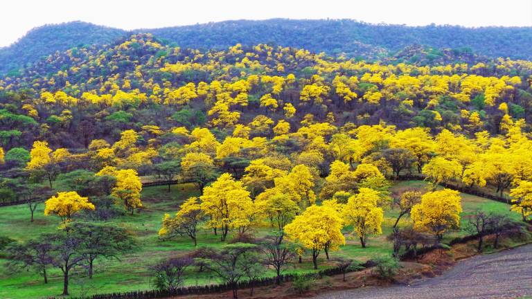 Planes para disfrutar el feriado en sitios cercanos a Guayaquil