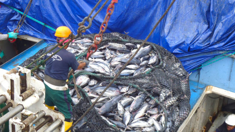 UE advierte sobre importaciones de Ecuador por pesca ilegal