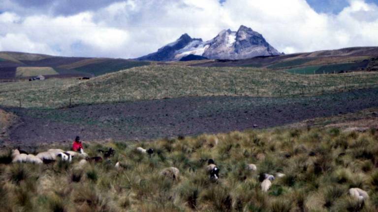 El volcán Carihuairazo ya no luce así: con nieve perpetua. La pérdida de su glaciar es una alerta de lo que pueden pasar en otras cumbres.