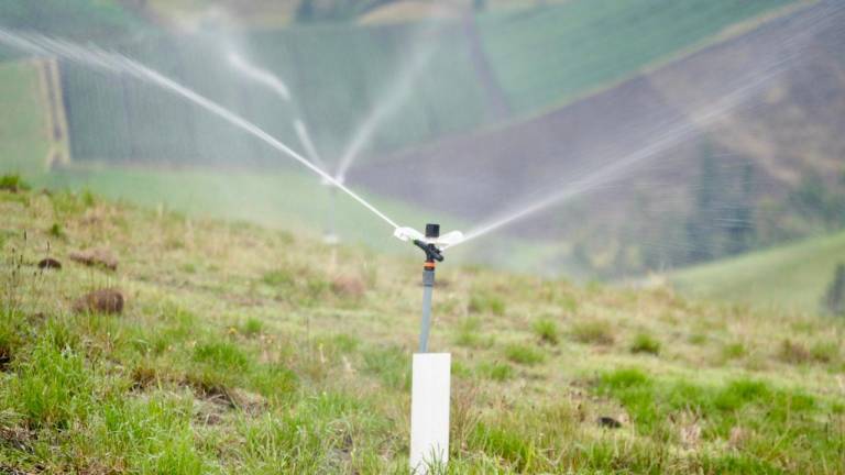 El Sistema de Riego Parcelario Tecnificado por Aspersión irrigará a 75,6 hectáreas en Cumbijín, provincia de Cotopaxi.