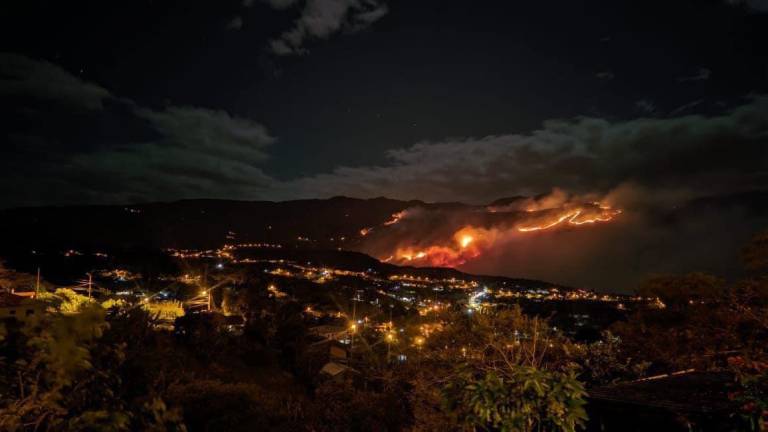 Incendio forestal devasta 120 hectáreas de vegetación en Azuay y sigue activo