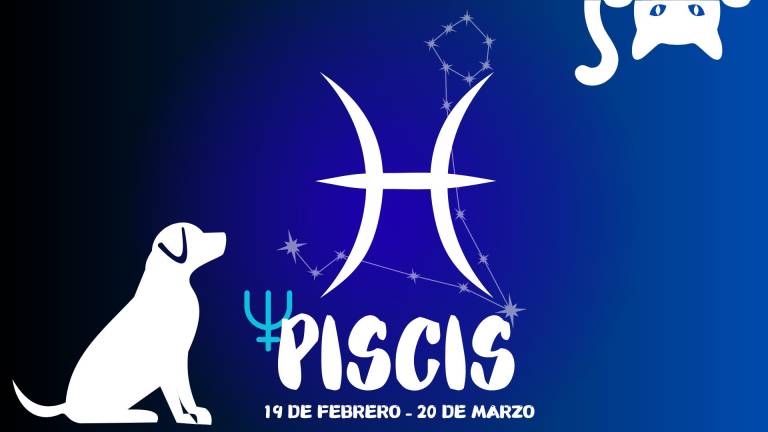 $!Horóscopo de Mascotas: descubre como los astros influyen en tu compañero de cuatro patas