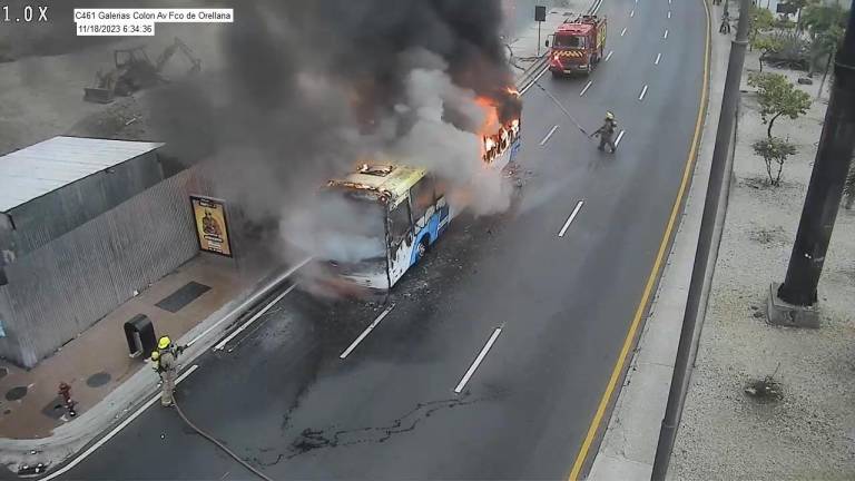 $!En las fotografías también se observa a varios elementos del Cuerpo de Bomberos controlando las llamas.