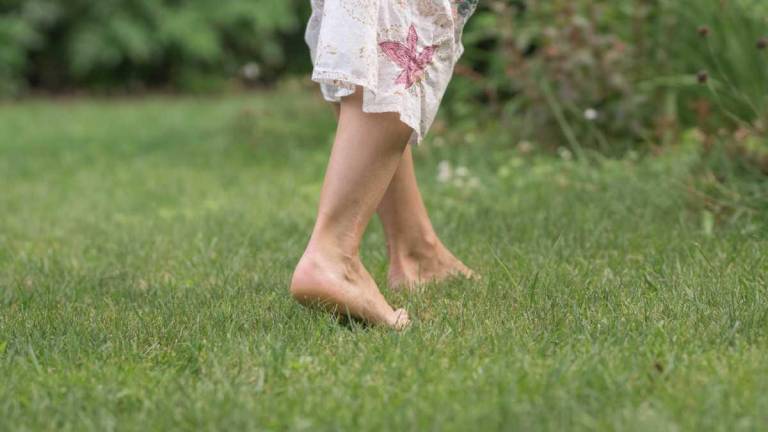 $!Mujer caminando descalza sobre la hierba. Uno de los consejos para realizar mindful walking es hacerlo sin zapatos.