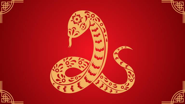 $!La Serpiente, el sexto animal del zodiaco chino.