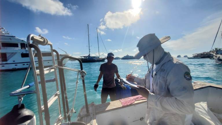 Reserva Marina de Galápagos conmemora sus 23 años con limpieza &#039;submareal&#039;