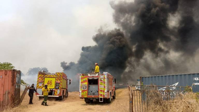 Microvistazo | Incendio forestal cerca del Parque Samanes en Guayaquil sería un acto terrorista