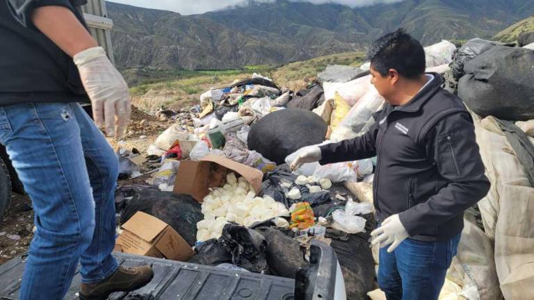 Más de 400 kilos de queso sin registro sanitario fueron desechados en Ibarra