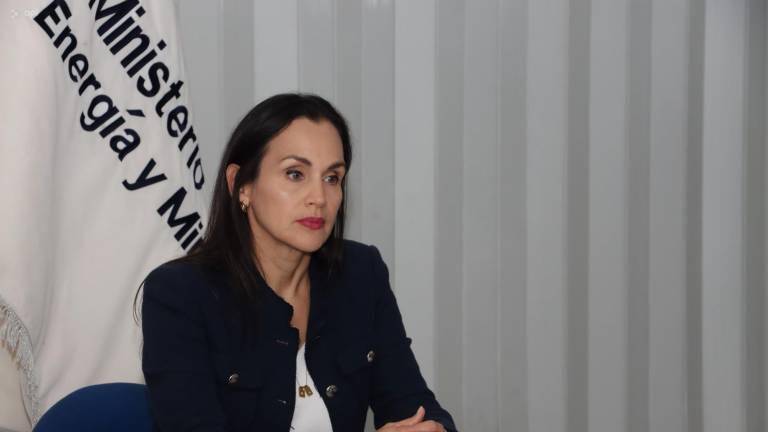 Microvistazo | ¿Cuándo terminan los apagones en Ecuador? Ministra de Energía encargada prevé una mejora a finales de noviembre