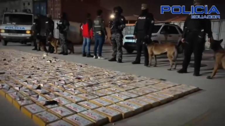 Decomiso de droga dentro de contenedor de banano en Puerto de Guayaquil: más de 500 kilos de cocaína con destino a Rusia