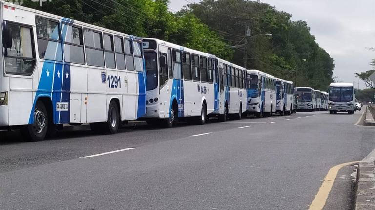 Paro de transporte en Guayaquil: ATM implementa medidas ante suspensión del servicio y actos de vandalismo