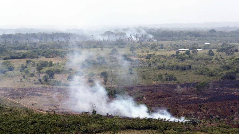 Fotografía de archivo del 22 de febrero de 2020 de una zona deforestada en el Parque Nacional Natural Tinigua, en el departamento del Meta.