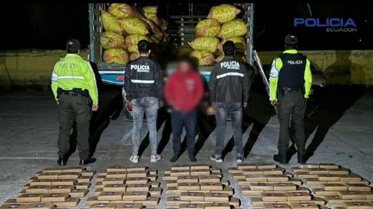 151 bloques de cocaína fueron hallados en un camión que llevaba papas