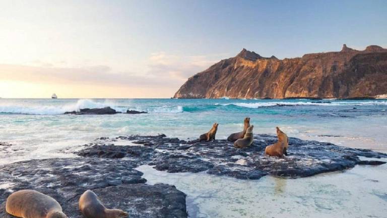 El Niño, la mayor amenaza en décadas para las especies vulnerables de Galápagos