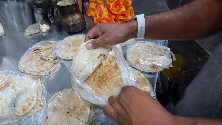 ARCSA: Cucarachas entre suciedad acumulada son halladas en local de comida árabe clausurado en Quito