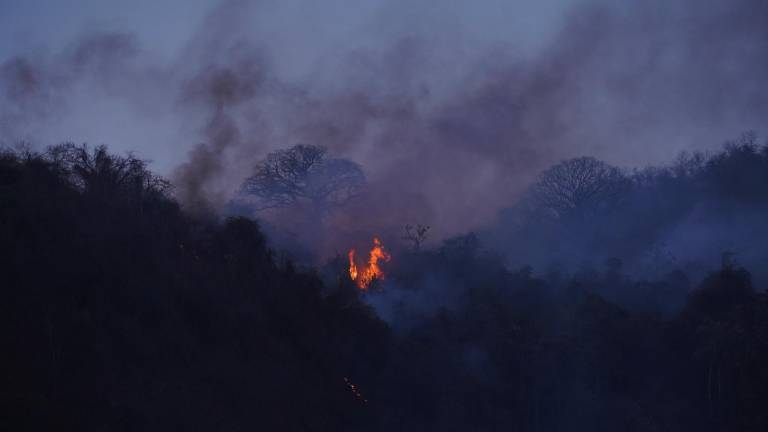 Bomberos luchan contra gran incendio forestal en Cerro Azul, cerca de la vía Perimetral