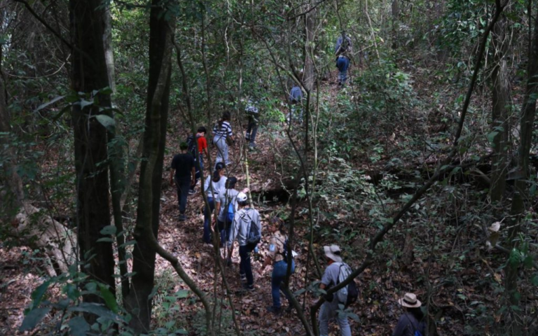 $!Varios turistas caminando a lo largo del bosque seco.