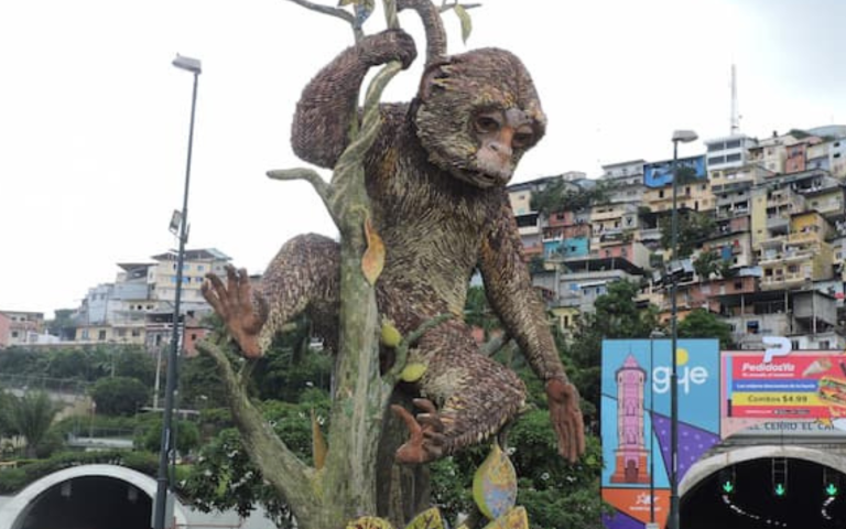 $!Estatua que denomina al mono capuchino como animal simbólico de Guayaquil. Desde que se erigió, la población de esta especie se ha reducido drásticamente hasta situarse al borde de la extinción local.