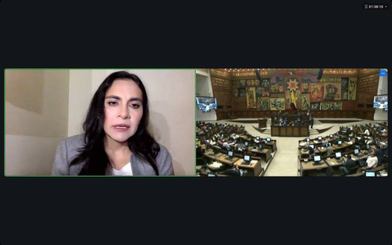 $!La vicepresidenta habló en el pleno de la Asamblea.